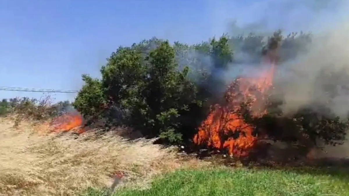 ÇANAKKALE'DE KORKU DOLU ANLAR! Tarım arazisinde yangın çıktı, rüzgar alevleri körüklüyor