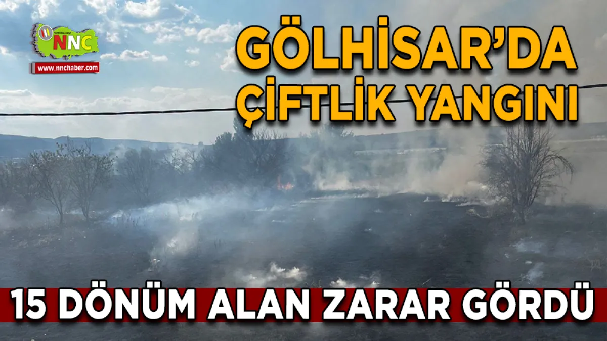 Gölhisar’da çiftlik yangını: 15 dönüm alan zarar gördü