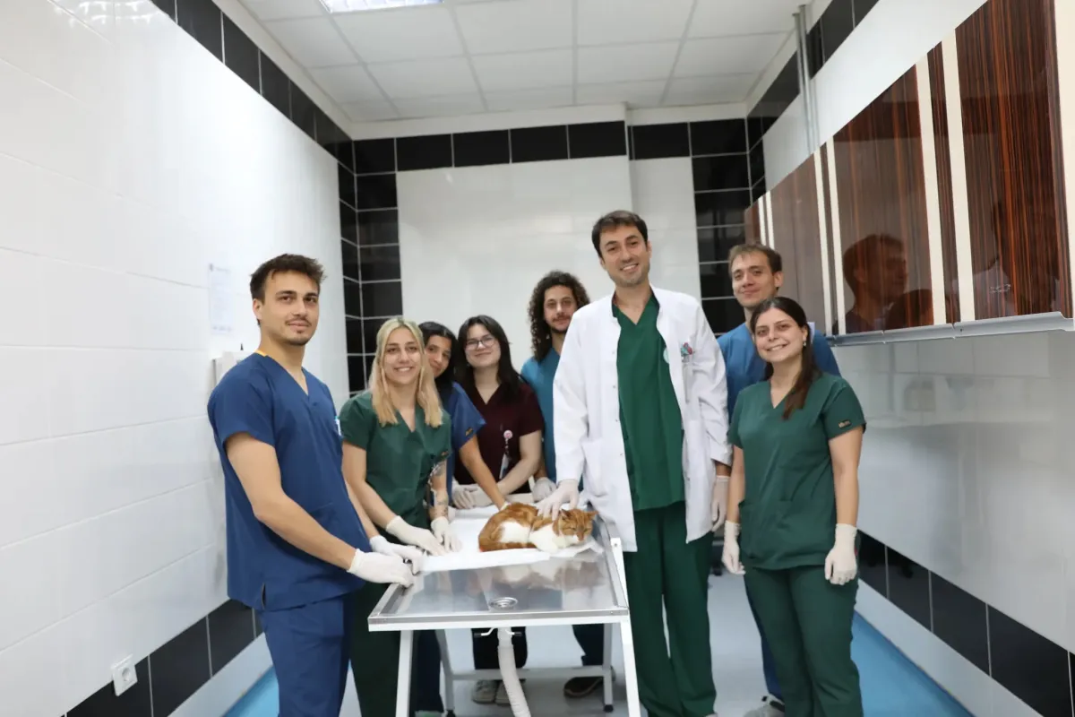 MAKÜ’de Kediye Özel Protez Operasyonu Yapıldı