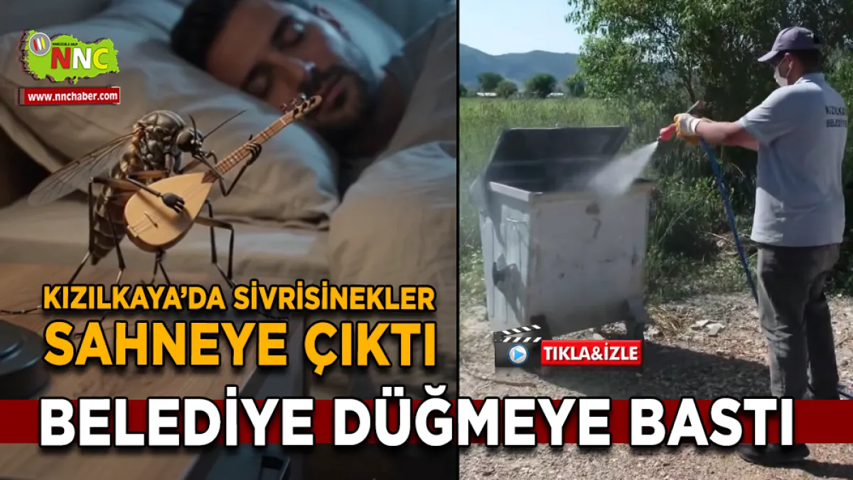 Kızılkaya Belediyesi’nden mahallelerde düzenli ilaçlama