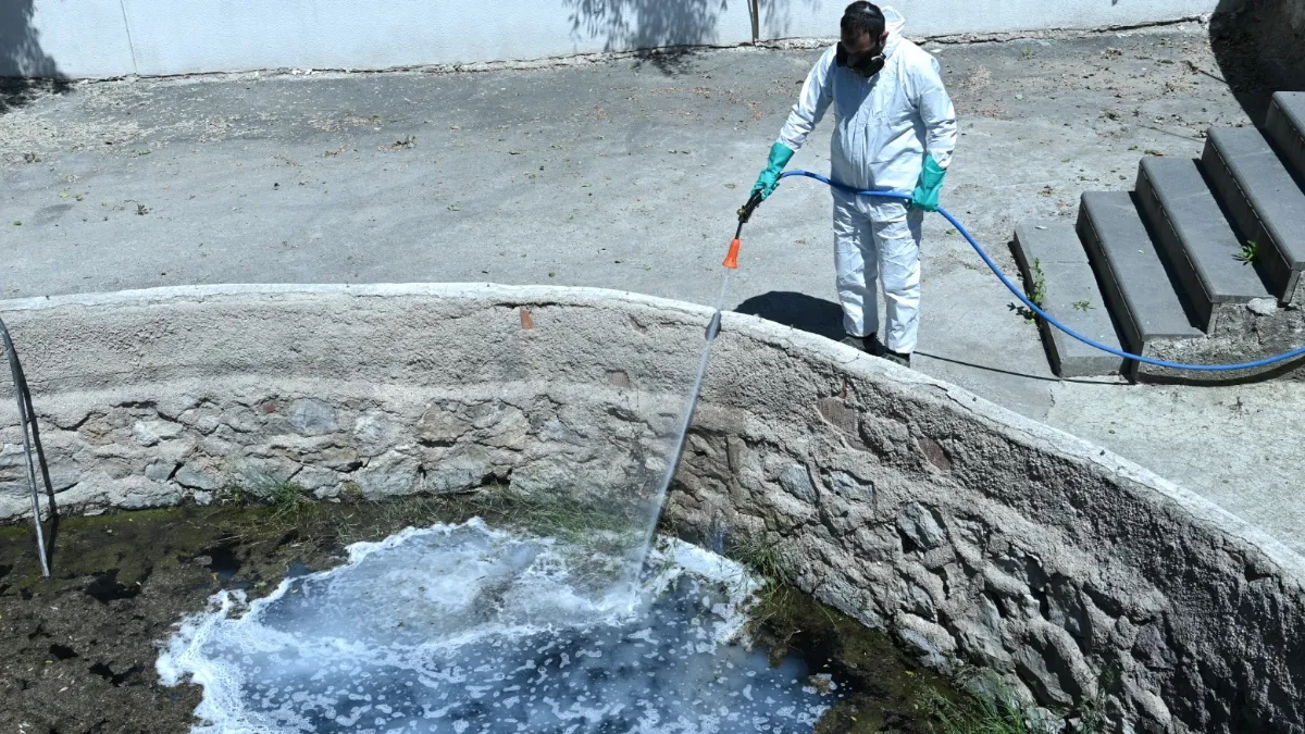 Mamak Belediyesi Sinek ve Haşerelere Karşı Sahada