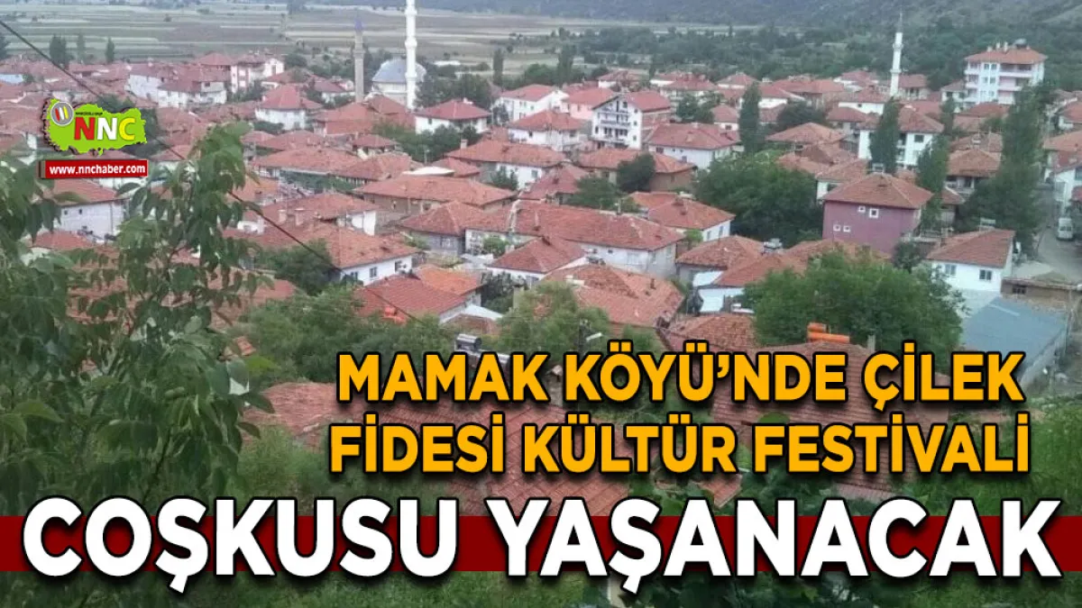 Mamak Köyü’nde Çilek Fidesi Kültür Festivali coşkusu yaşanacak