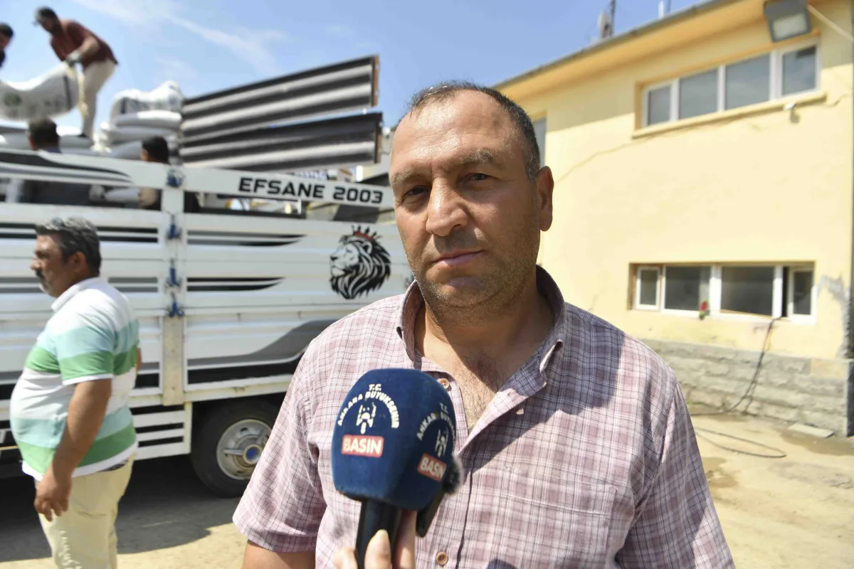 Ankara Büyükşehir’den Üreticiye Buzağı Yemi Desteği