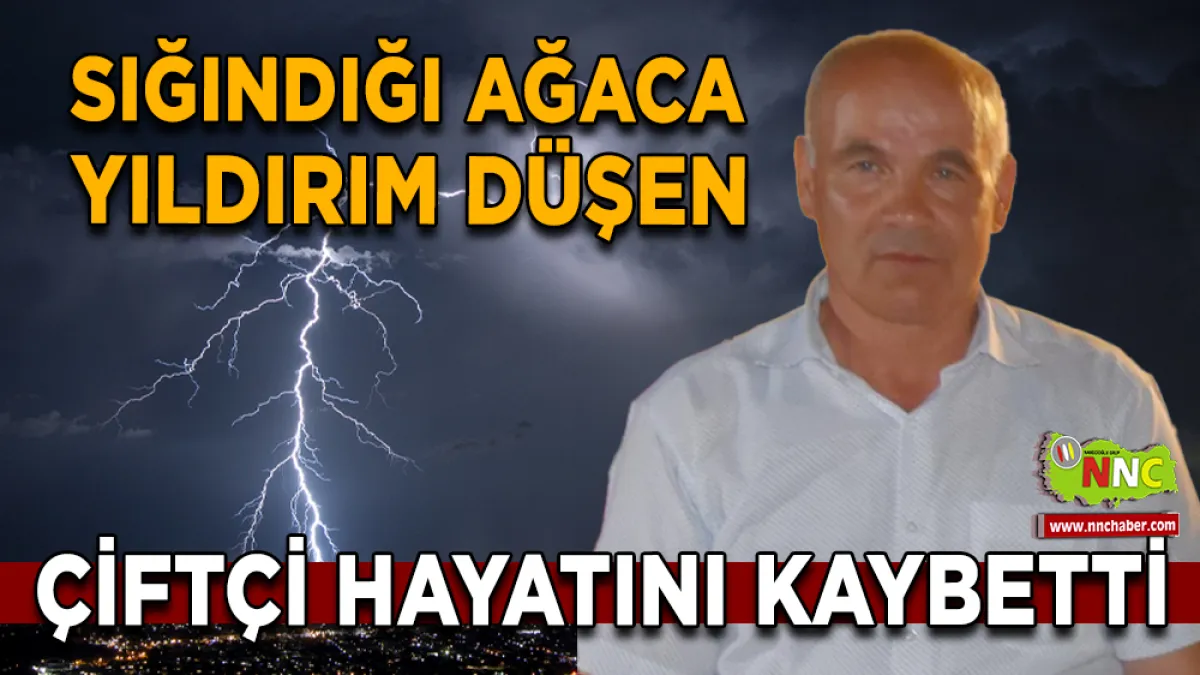 Sığındığı ağaca yıldırım düşen çiftçi hayatını kaybetti