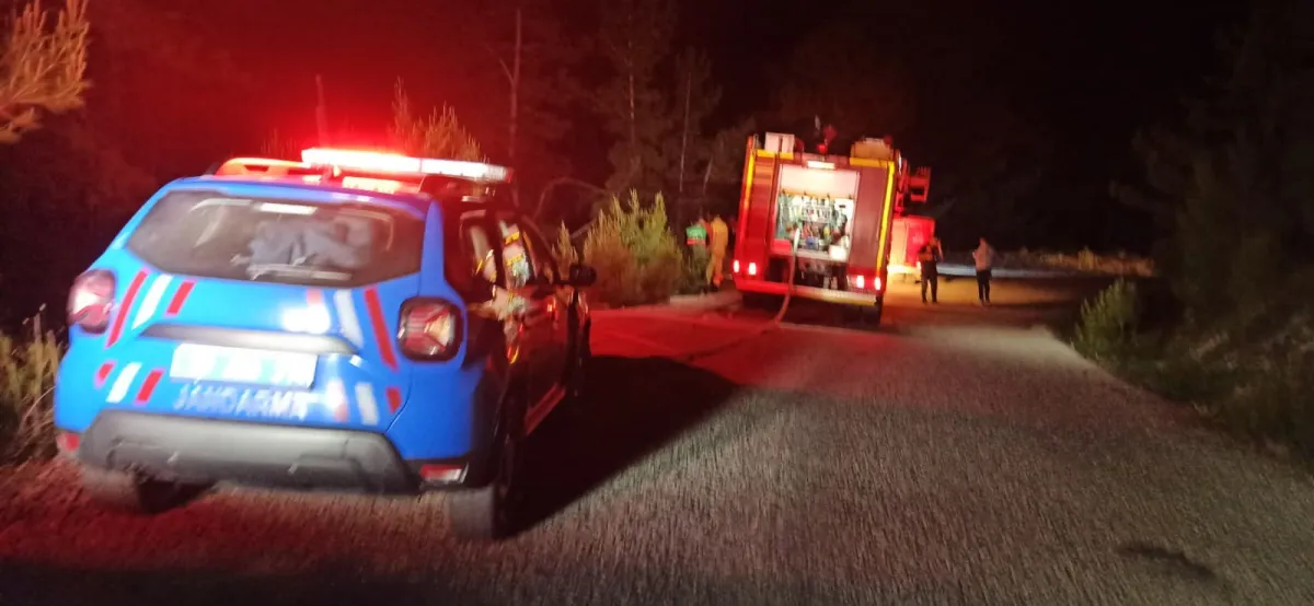 Denizli'de şarampole yuvarlanan otomobil orman yangınına neden oldu