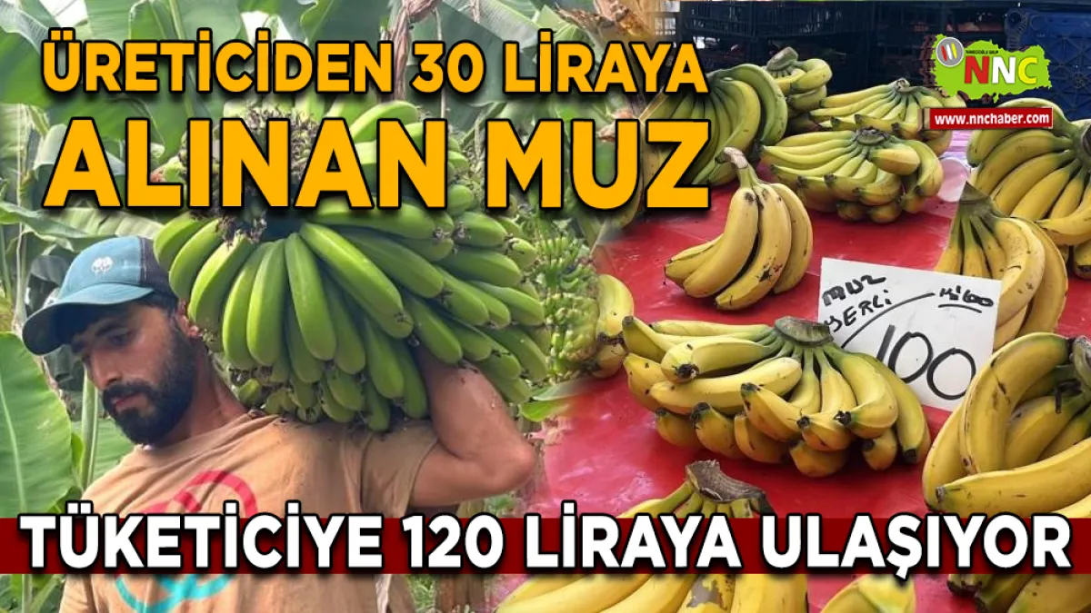 Üreticiden 30 liraya alınan muz tüketiciye 120 liraya ulaşıyor
