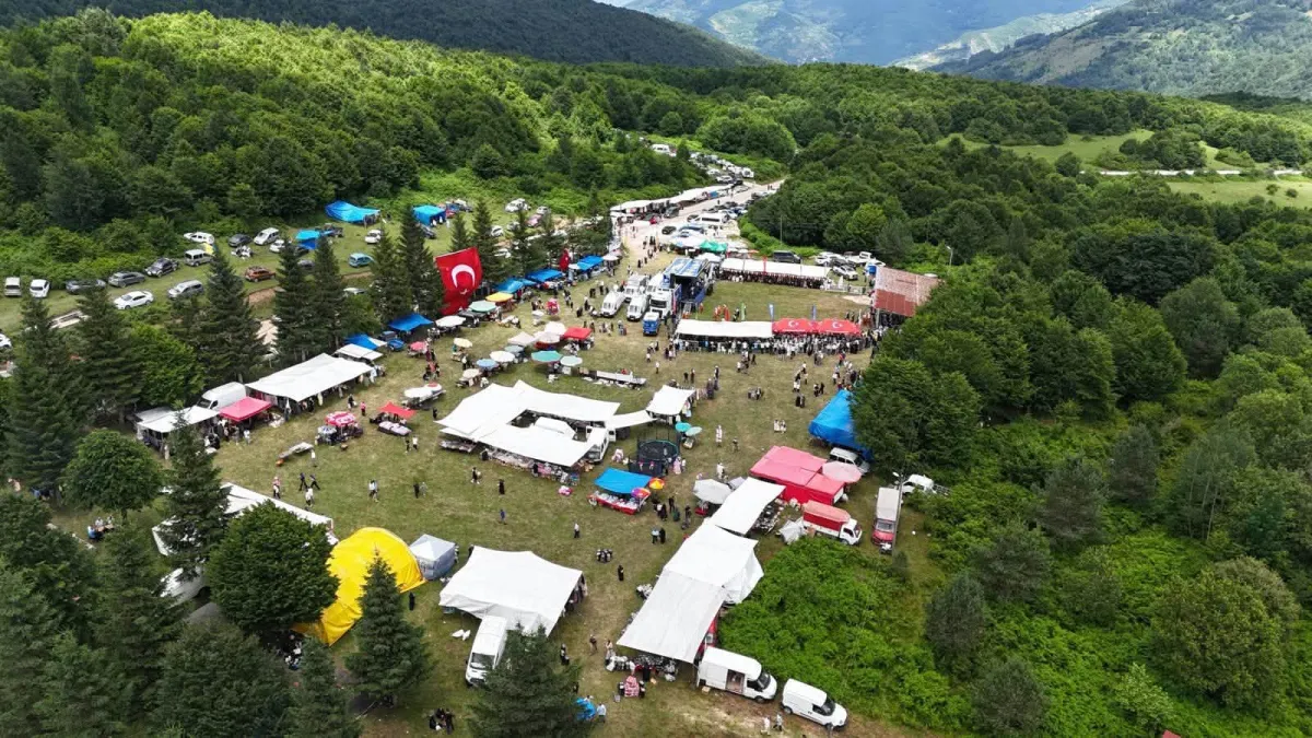 Canlı İzle ! 2026 Ordu 918. Aybastı Perşembe Yaylası Yağlı Güreşleri Başladı .Başpehlivan Kim Olur