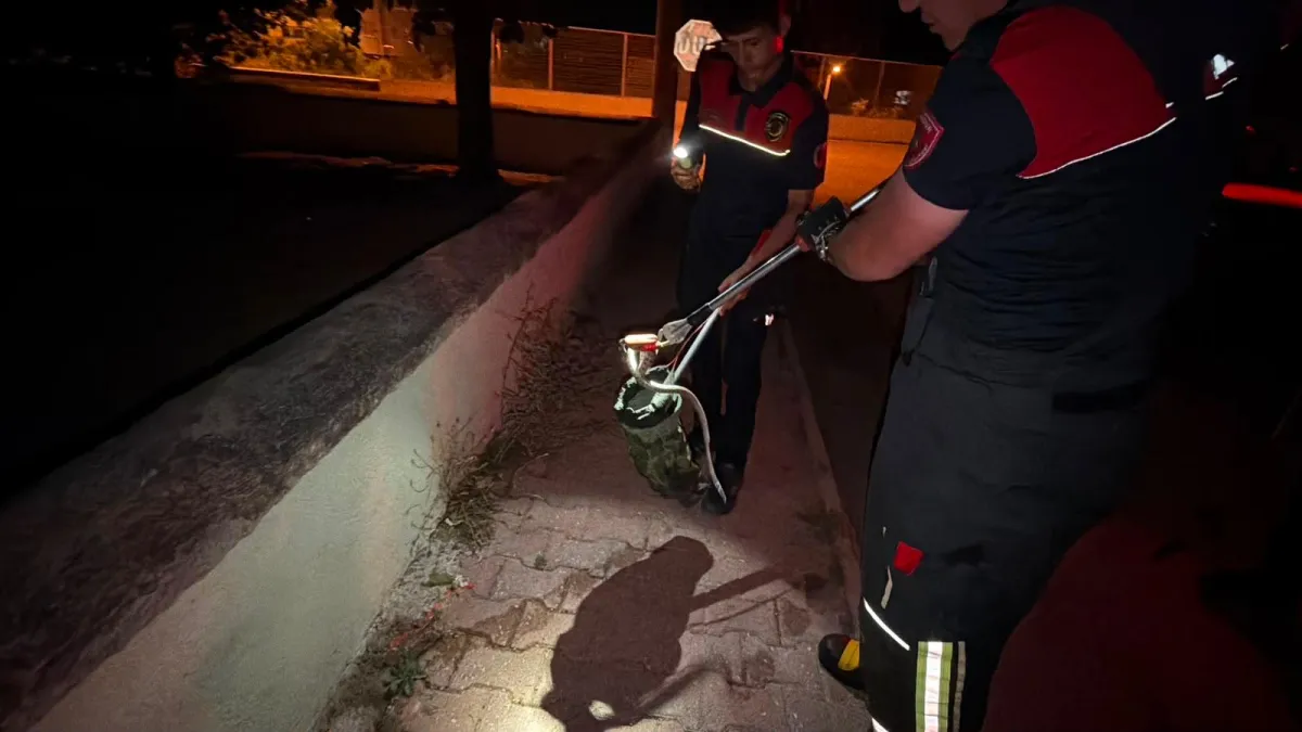 Burdur'da görülen yılan güvenli şekilde yakalandı