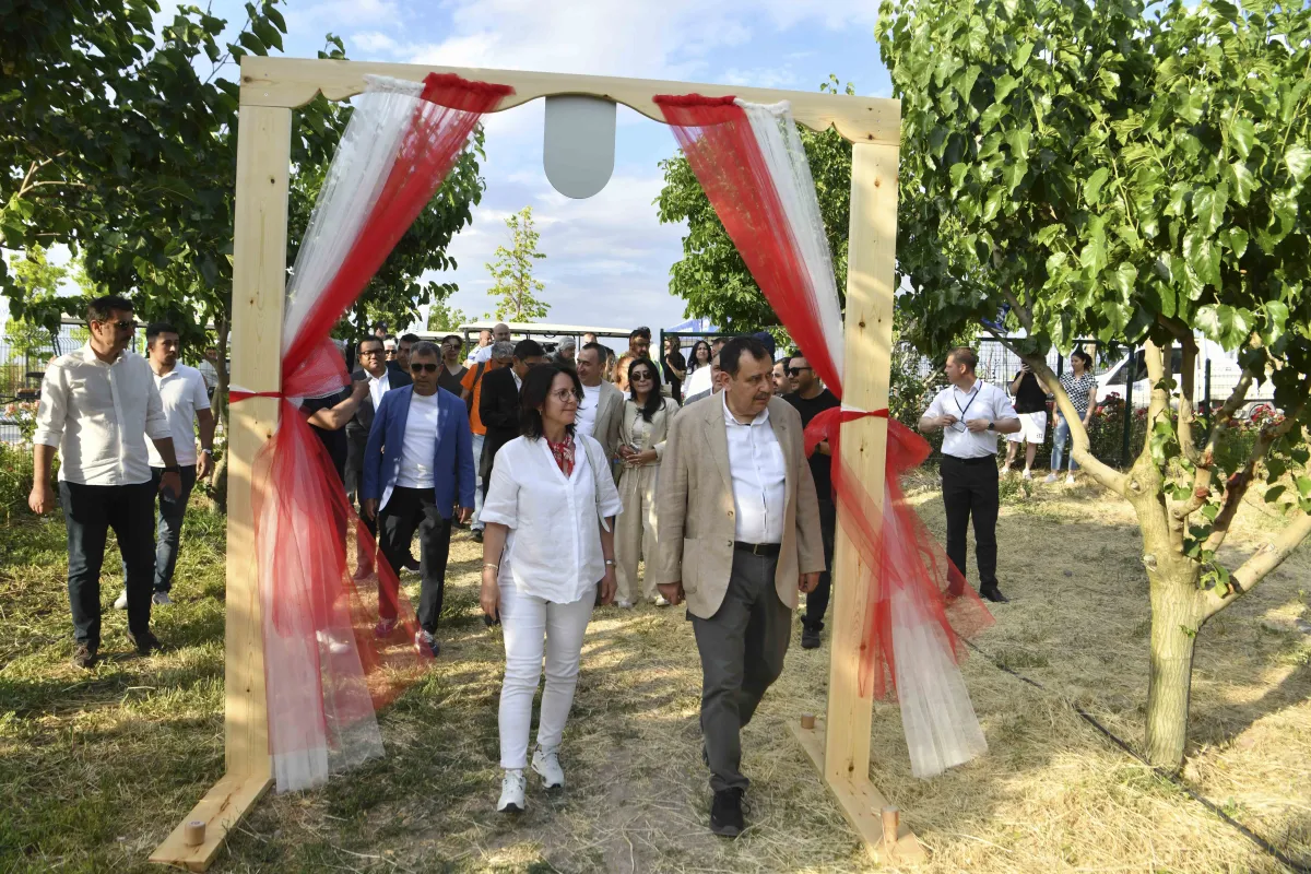 Ankara'da Büyükelçiler ATA Çiftliği'nde İlk Dut Hasadına Katıldı