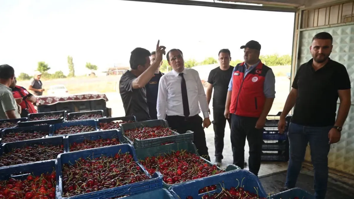 Afyonkarahisar'da kiraz hasadı başladı