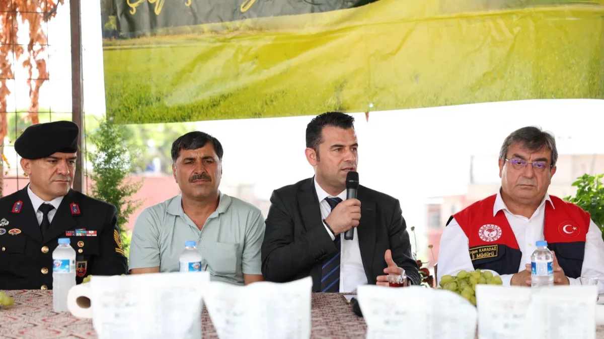 Akdeniz'de meyve sineğiyle mücadeleye ilaç desteği
