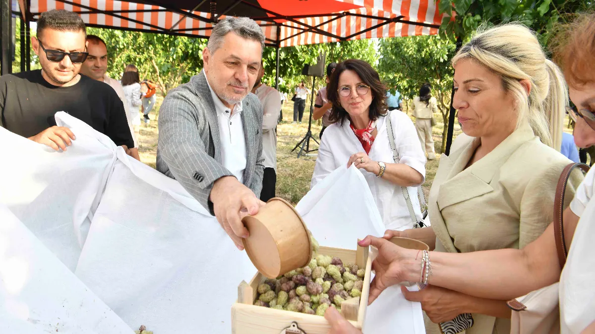 Ankara'da Büyükelçiler ATA Çiftliği'nde İlk Dut Hasadına Katıldı