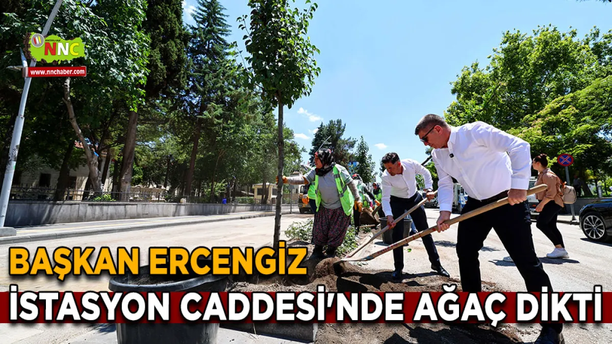 Başkan Ercengiz İstasyon Caddesi'nde ağaç dikti