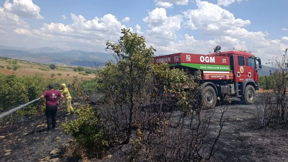 Bingöl'de orman yangını büyümeden söndürüldü