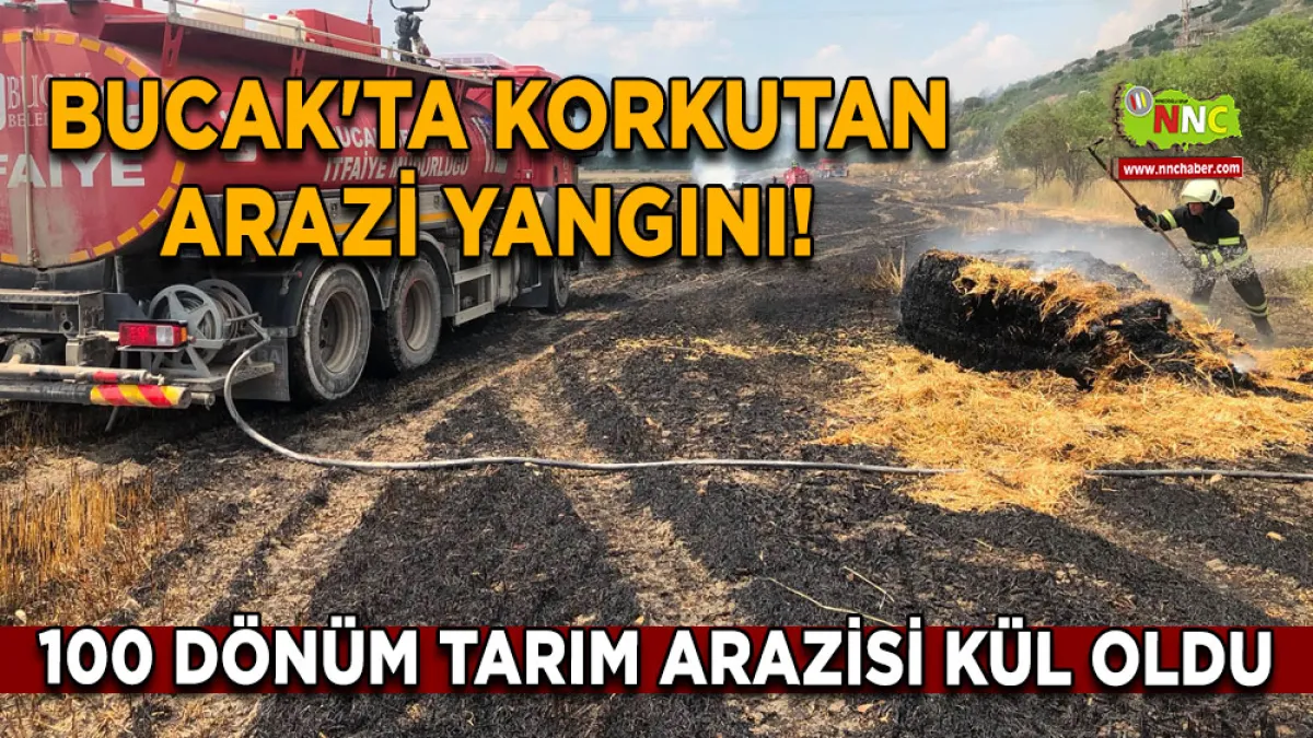 Bucak'ta korkutan arazi yangını! 100 Dönüm tarım arazisi kül oldu
