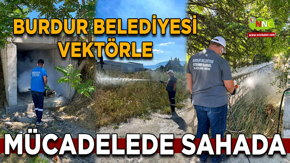 Burdur Belediyesi vektörle mücadelede sahada