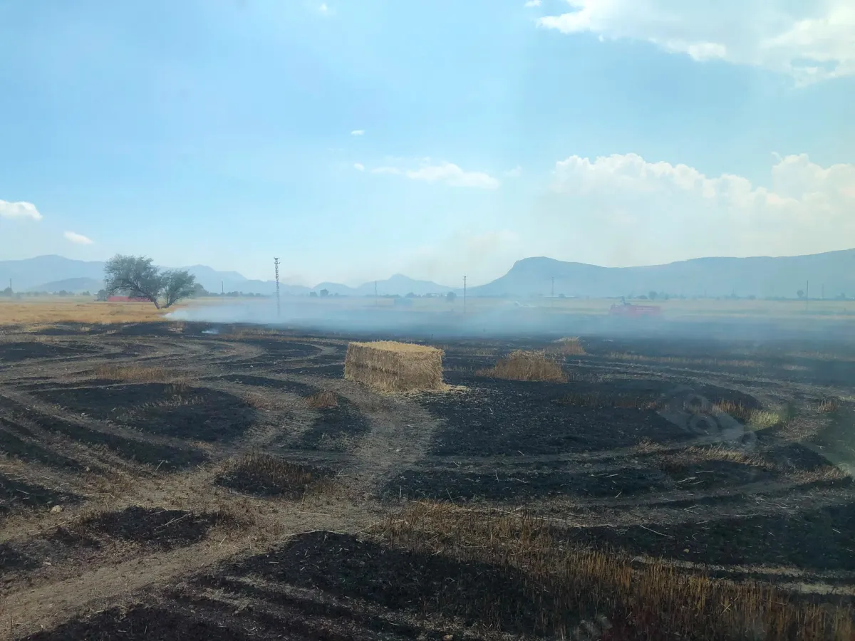 Bucak'ta korkutan arazi yangını! 100 Dönüm tarım arazisi kül oldu