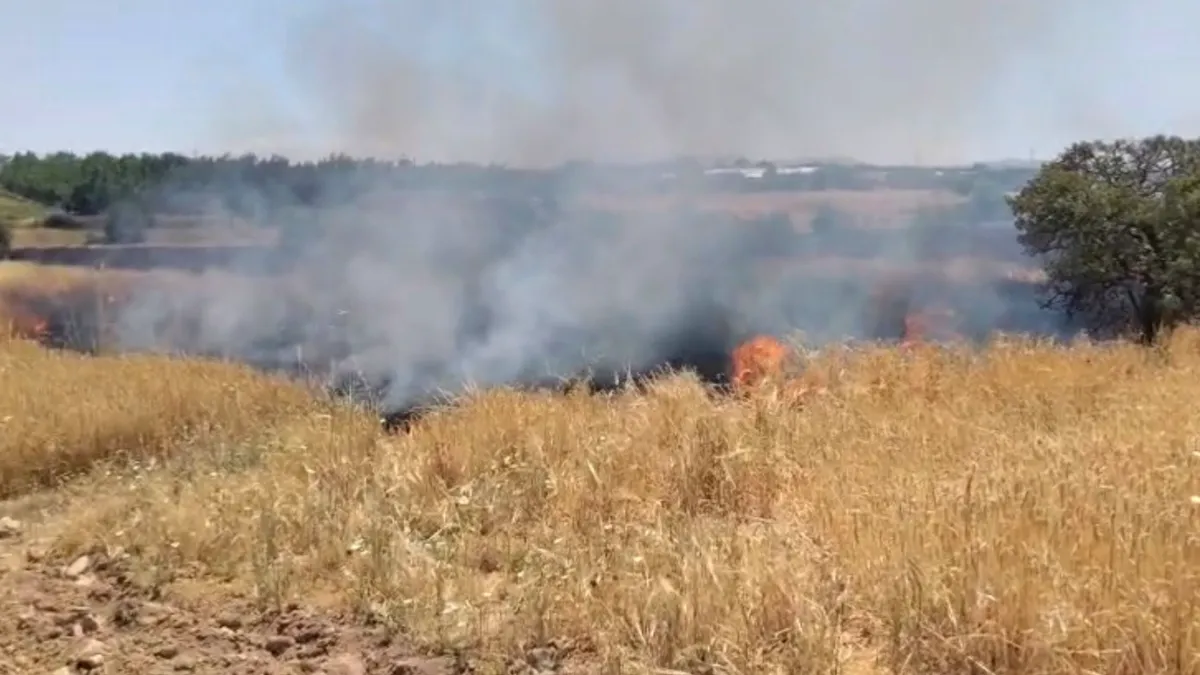 Elazığ'da arazi yangını ekiplerin müdahalesi sürüyor