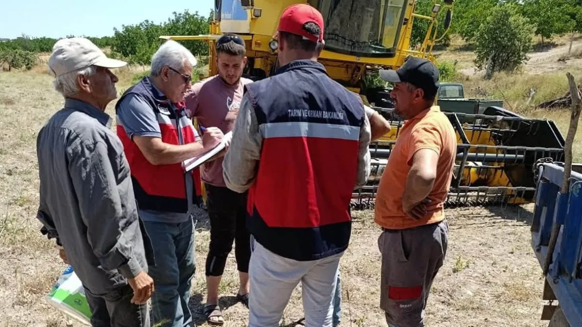 Gediz’de biçerdöverle hasat kontrolleri sürüyor