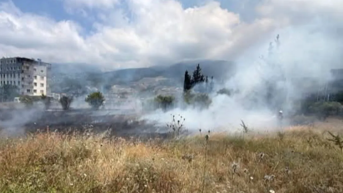 İskenderun’da otluk alan yangını