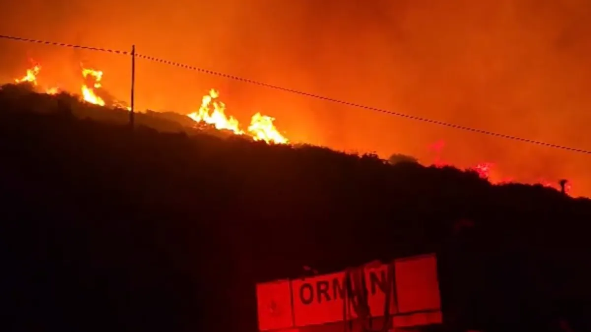 İzmir'de makilik alanda yangın