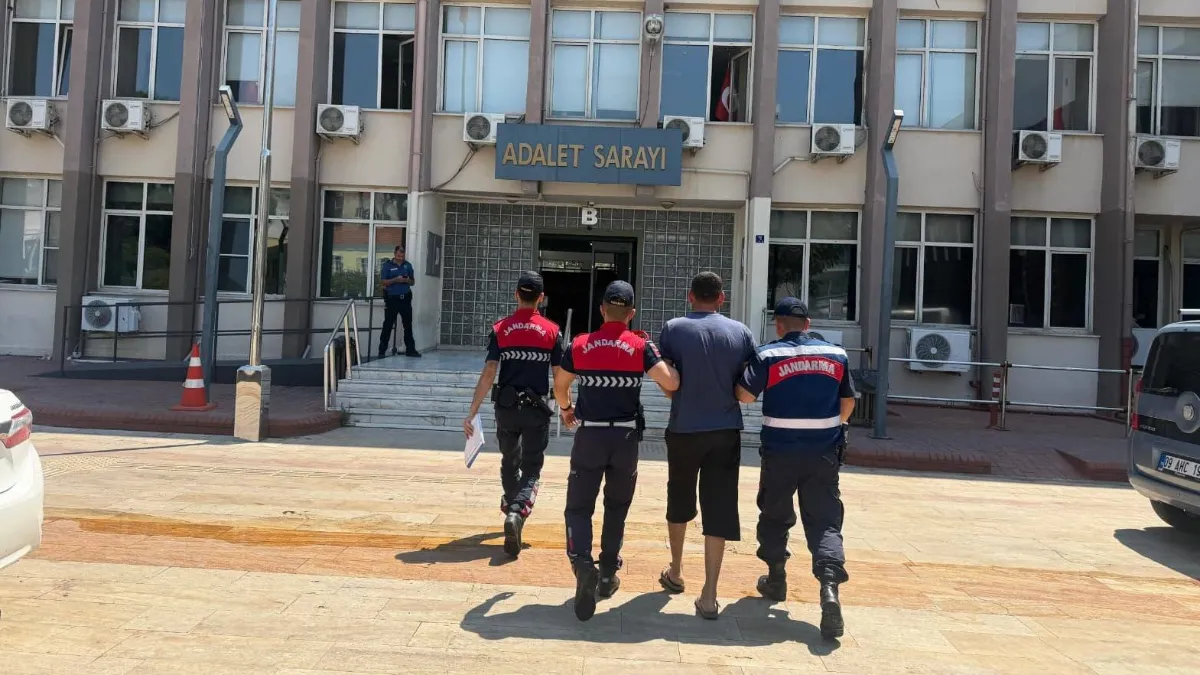 Koçarlı'da 15 koyun evin bahçesinden çalındı
