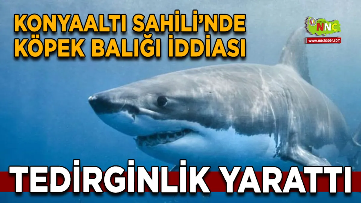 Konyaaltı Sahili’nde Köpek Balığı İddiası Tedirginlik Yarattı