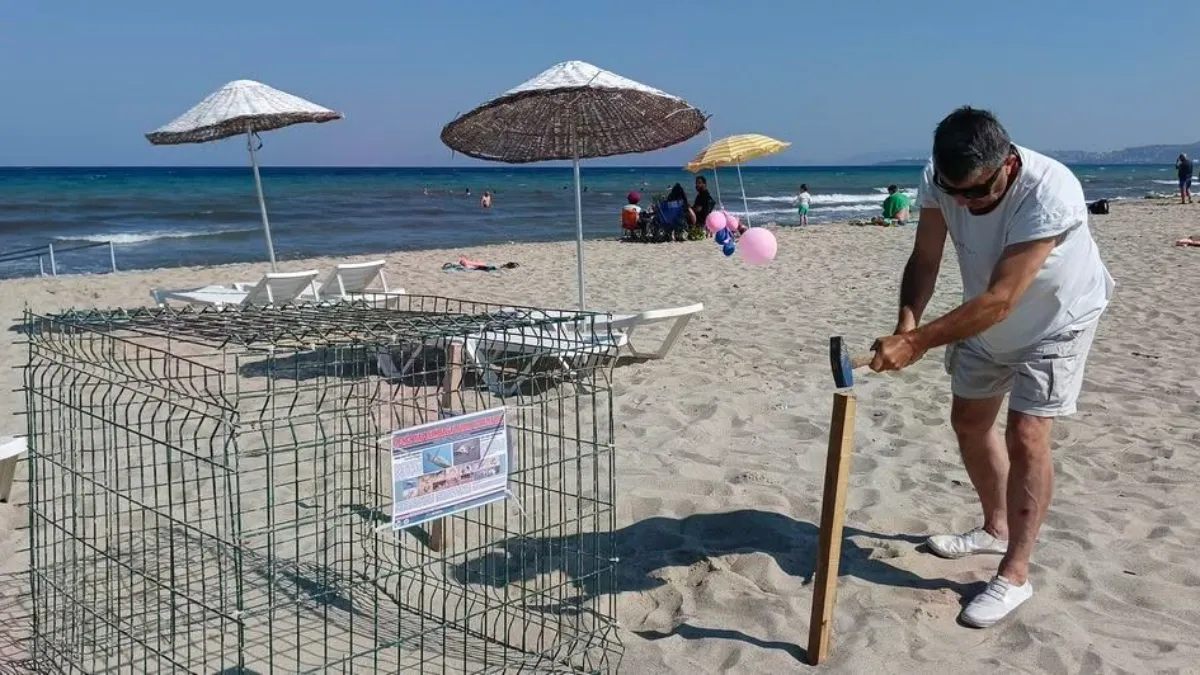  Kuşadası'nda caretta carettalardan umutlandıran yuva