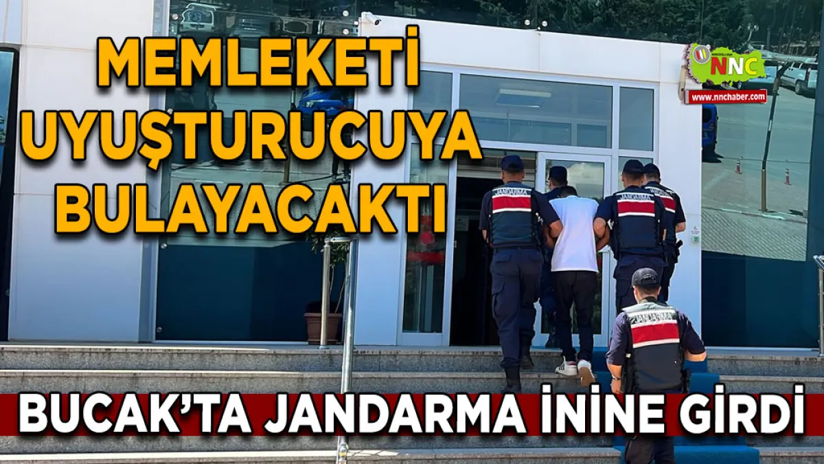  Memleketi uyuşturucuya bulayacaktı Bucak jandarma inine girdi