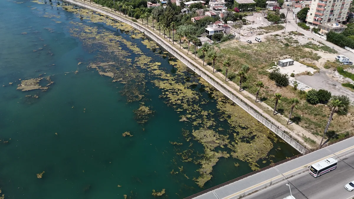 Seyhan Nehri kirliliğe teslim oldu, gönüllü genç sandalla temizliğe çıktı