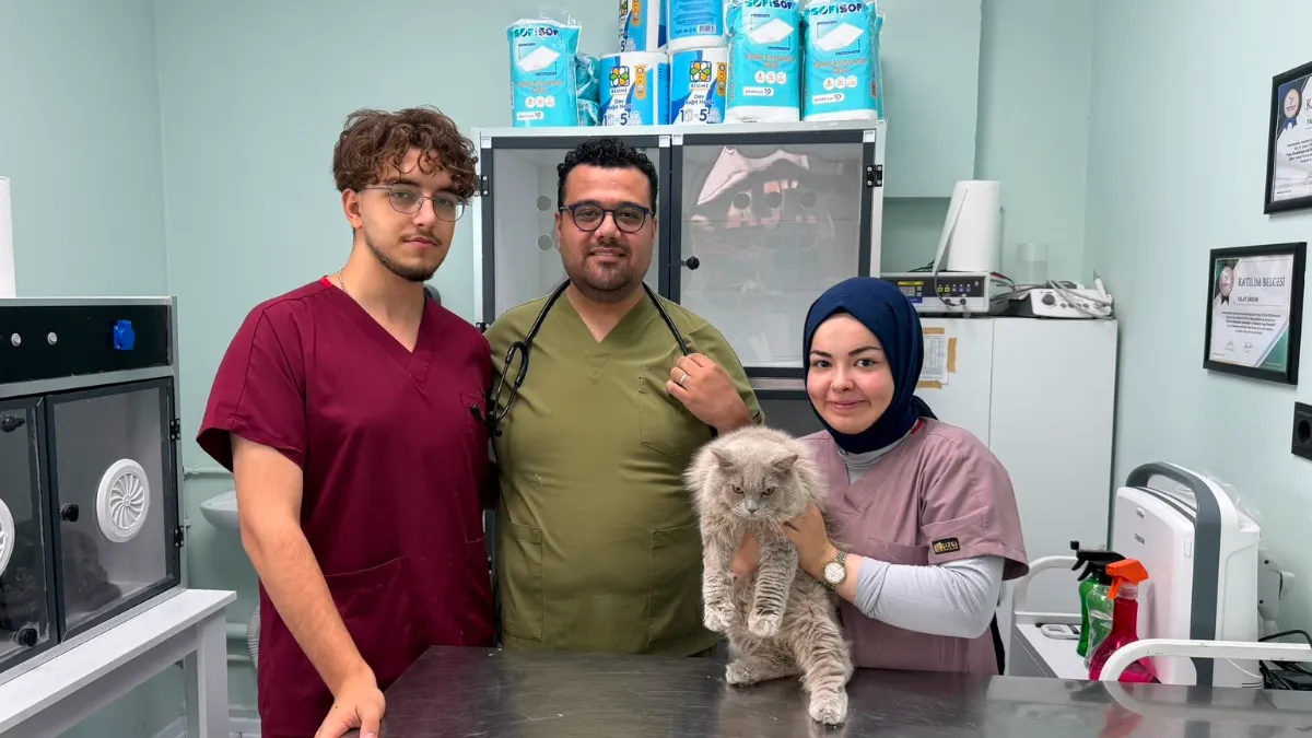 Veterinerde deprem etkisi yapan kedi Türkiye'nin gündeminde