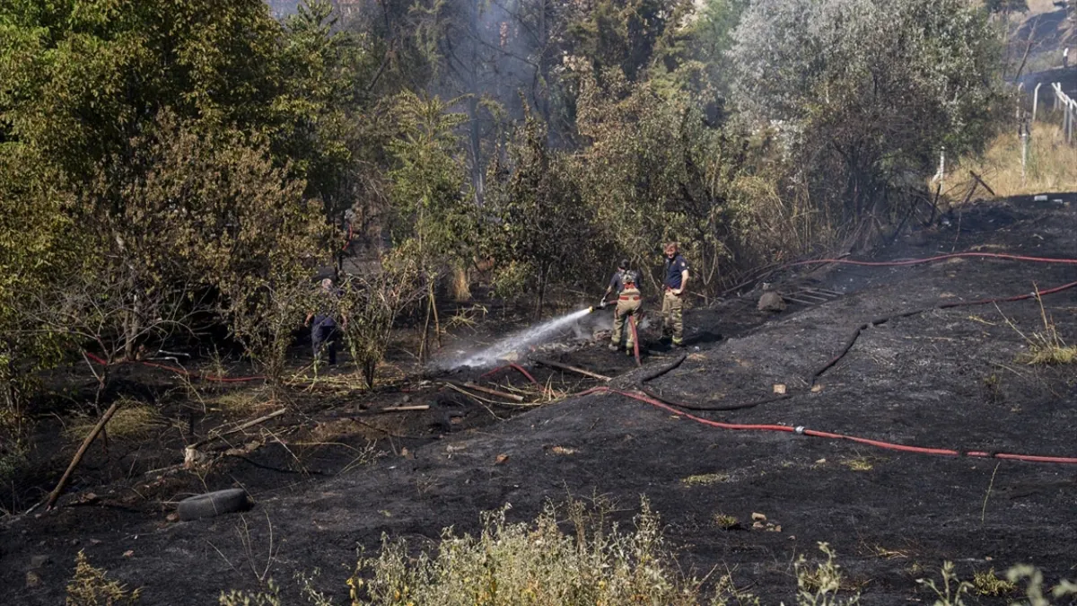 Ankara, Mamak’ta Ağaçlık Alanda Yangın Paniği