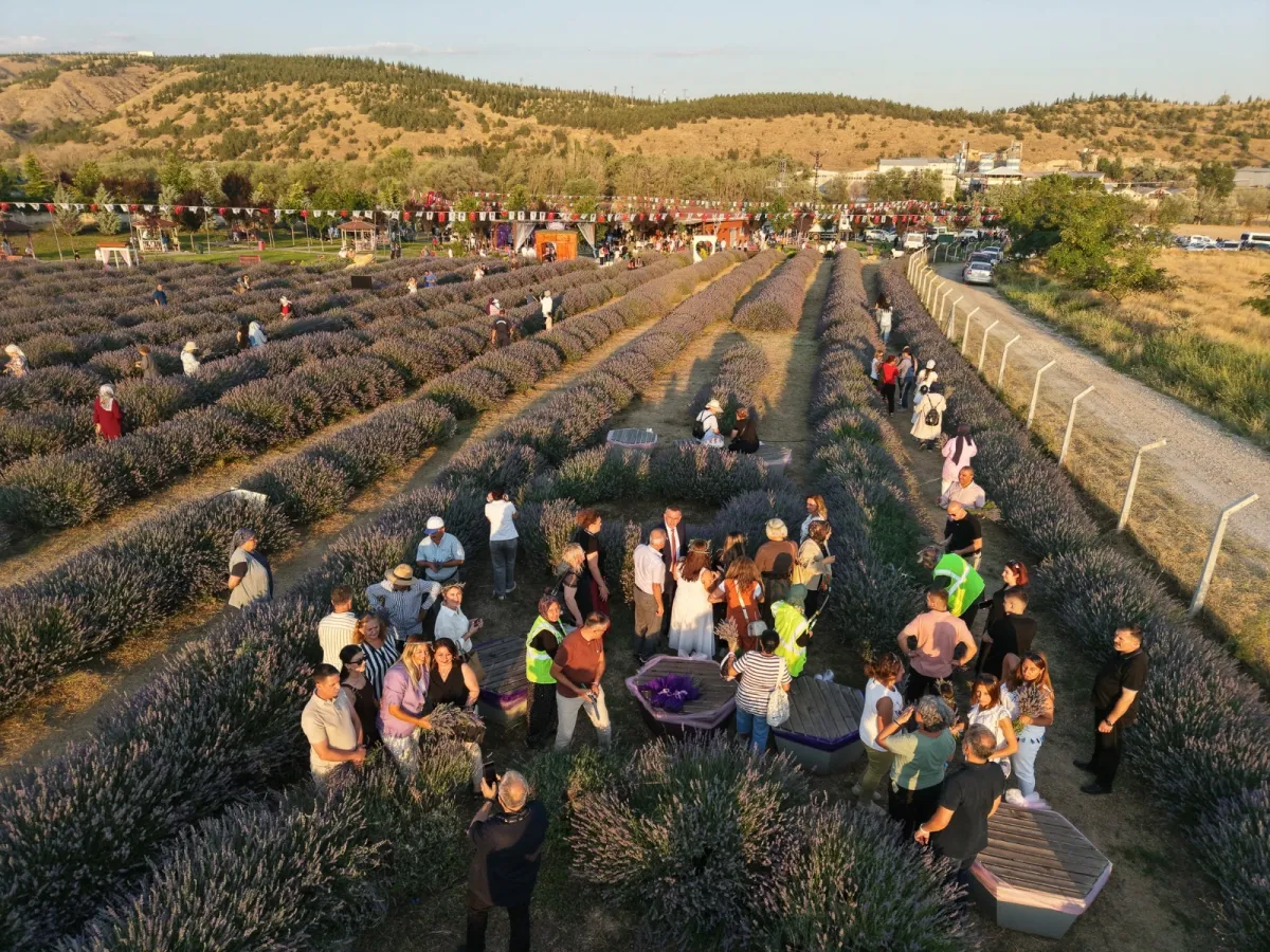Mamak’ta Doğa ve Kültür Lavanta Şenliği’nde Buluştu