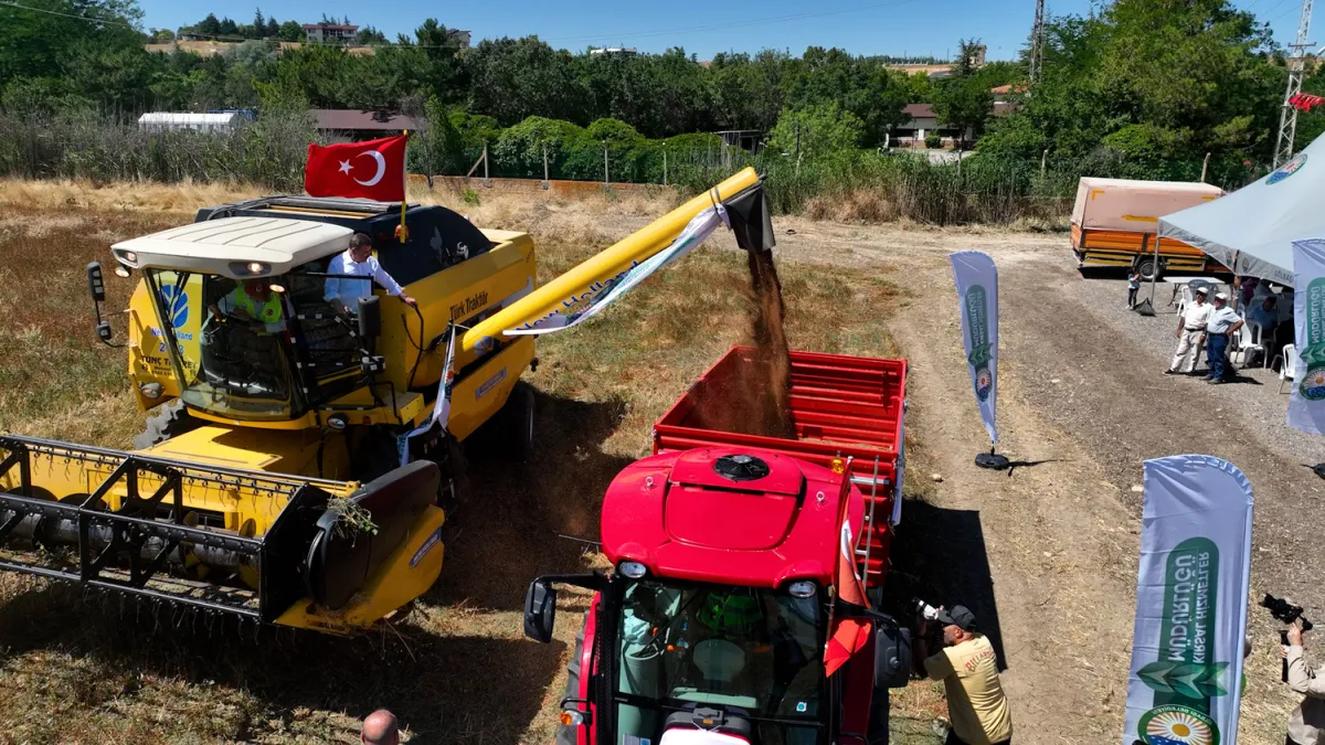 Gölbaşı’nda Karabuğday Hasadı: Hedef “Gölbaşı Karabuğday” Markası