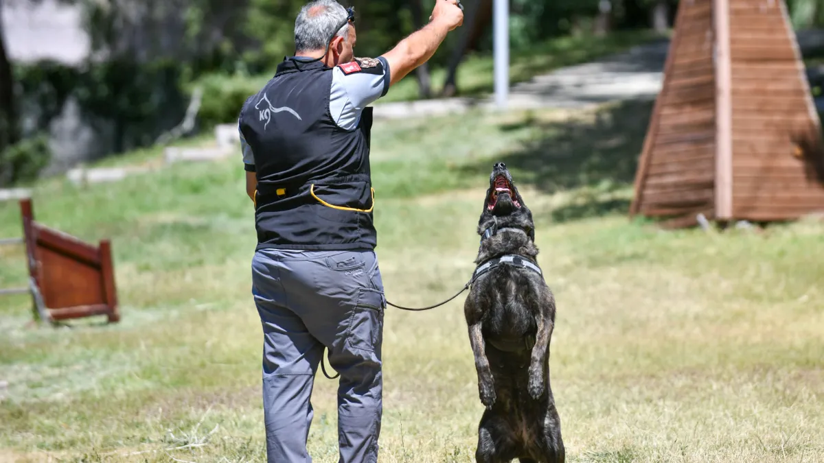 ABB’nin K9 Ekipleri Başkent’te 7/24 Görev Yapıyor