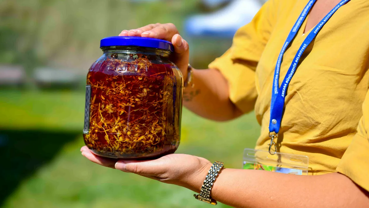 ABB’nin Tıbbi Aromatik Bitki Kursu Tamamlandı
