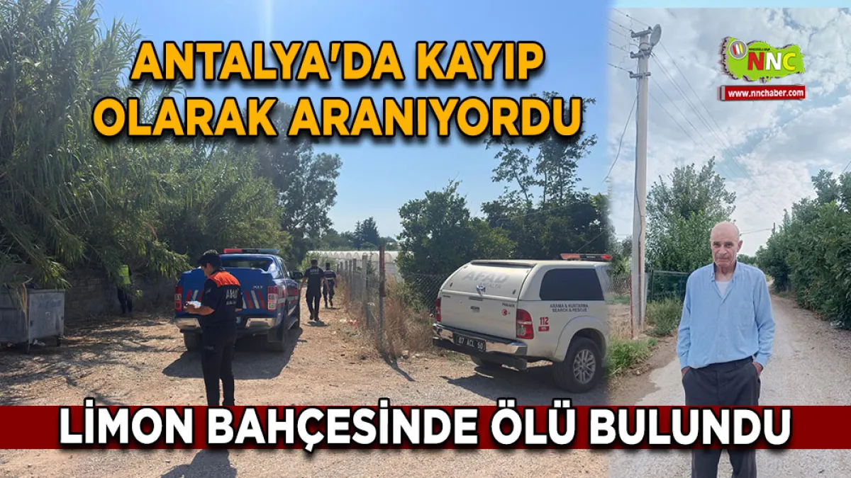 Antalya'da kayıp olarak aranıyordu Limon bahçesinde ölü bulundu
