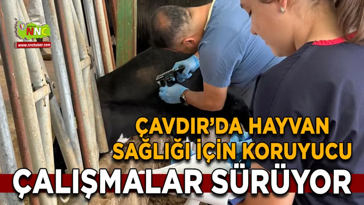 Çavdır’da hayvan sağlığı için koruyucu çalışmalar sürüyor