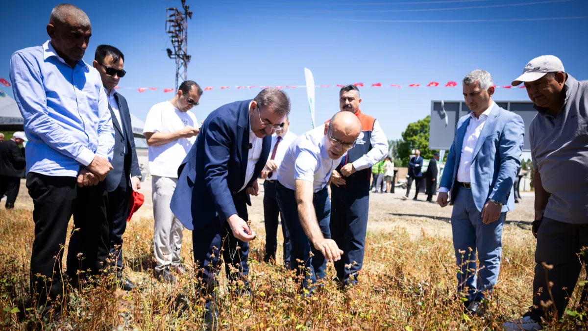 Gölbaşı’nda Karabuğday Hasadı: Hedef “Gölbaşı Karabuğday” Markası