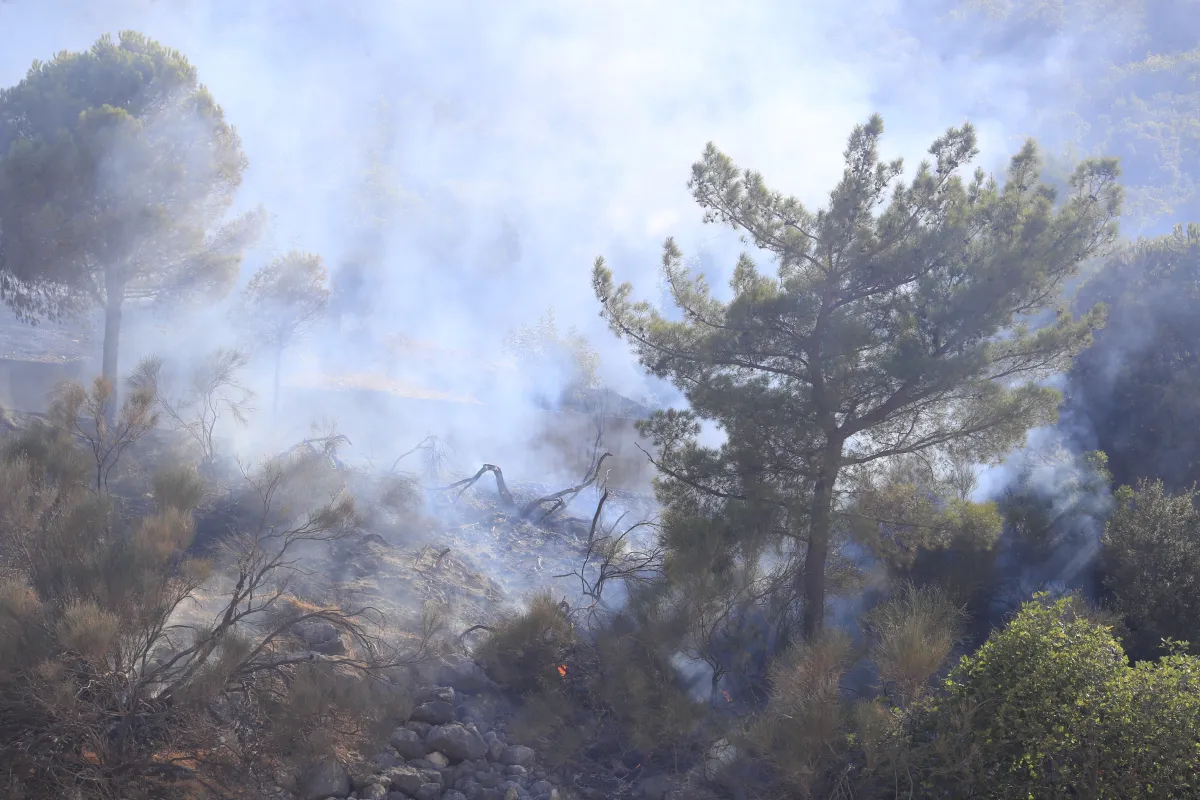 Antalya’da Çifte Yangın Alarmı: Alanya ve Konyaaltı’ndaki Alevler Kontrol Altında