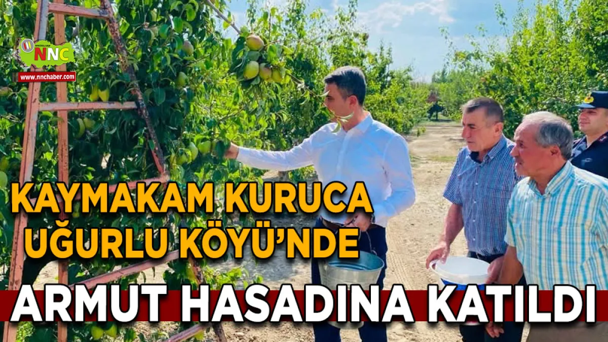 Kaymakam Kuruca Uğurlu Köyü’nde armut hasadına katıldı