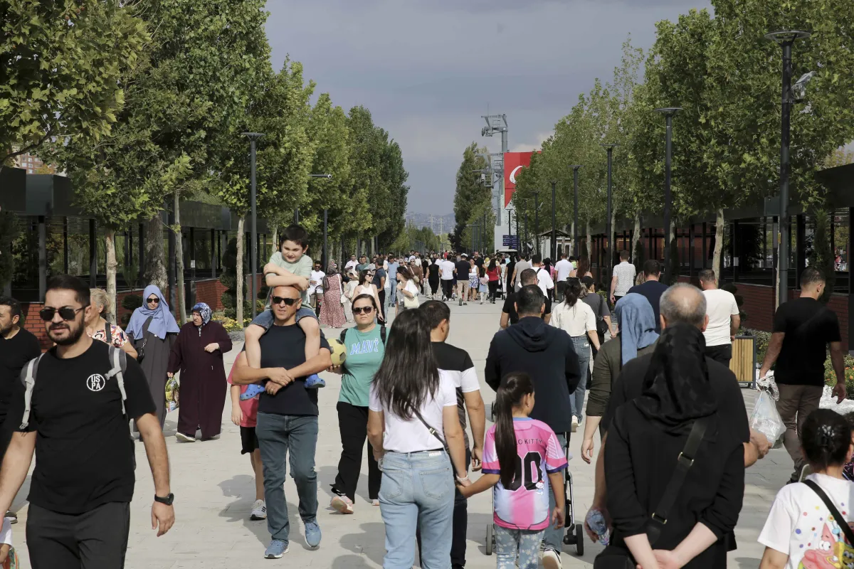 Başkentliler Seçti: Yavru Zebranın Adı “Pijamalı” Oldu