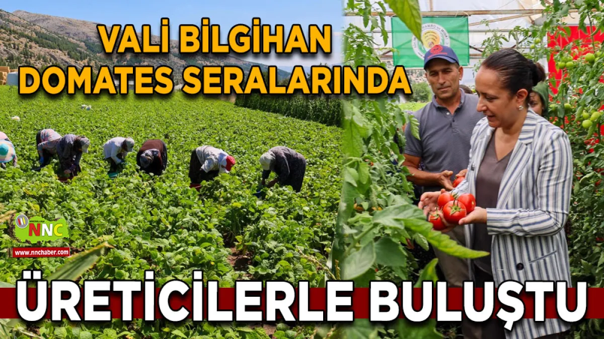 Vali Bilgihan domates seralarında üreticilerle buluştu