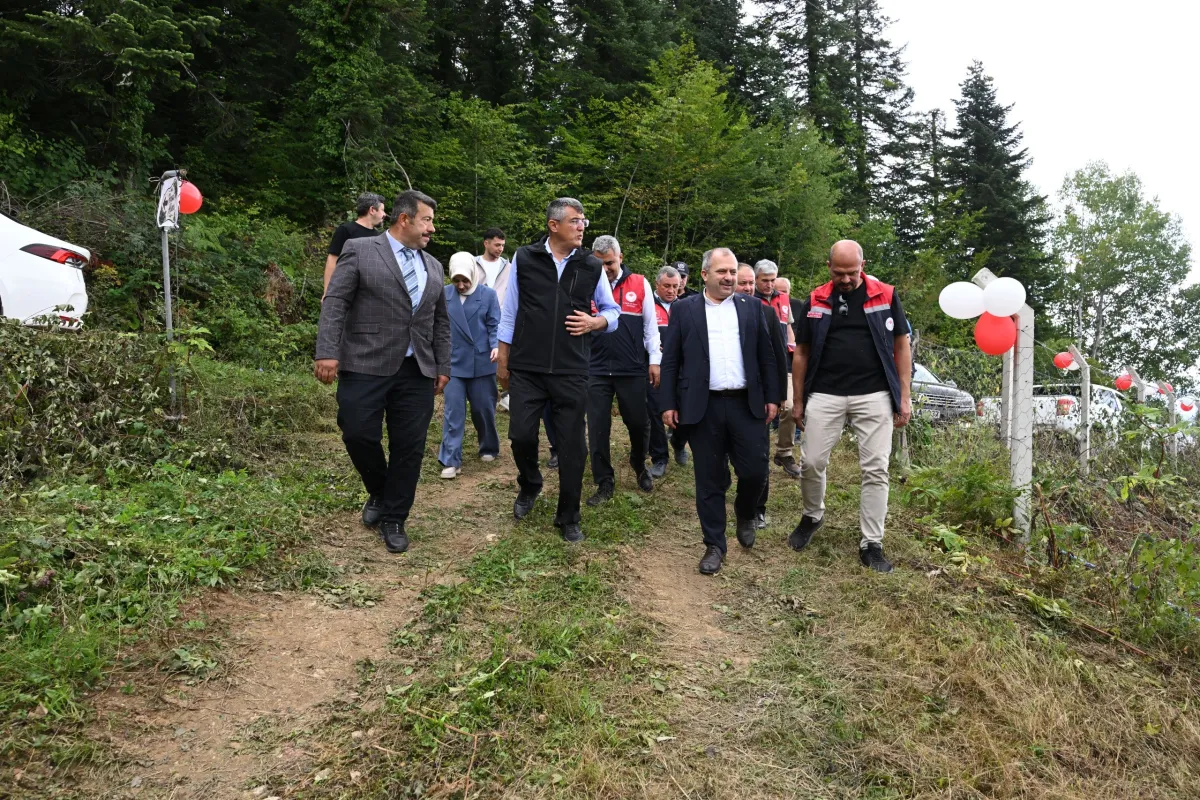 Kastamonu’da Aronya Hasadı Başladı! Aronya Ne İşe Yarar, Faydaları Neler, Kilosu Kaç TL?