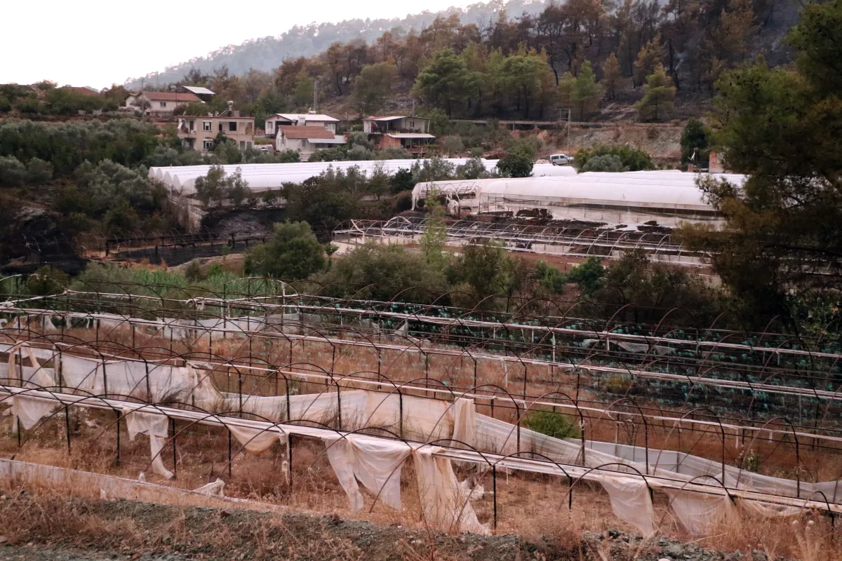 Antalya Kumluca’daki Orman Yangınında 10 Ev Zarar Gördü