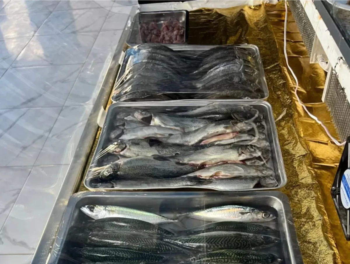 Bucak’ta Balıkseverlere Müjde! 1 Kilo hamsi, salata, meze çeşitleri ve 1 Litre içecek sadece 600 TL