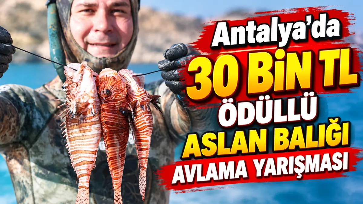Antalya'da 30 bin TL ödüllü aslan balığı avlama yarışması