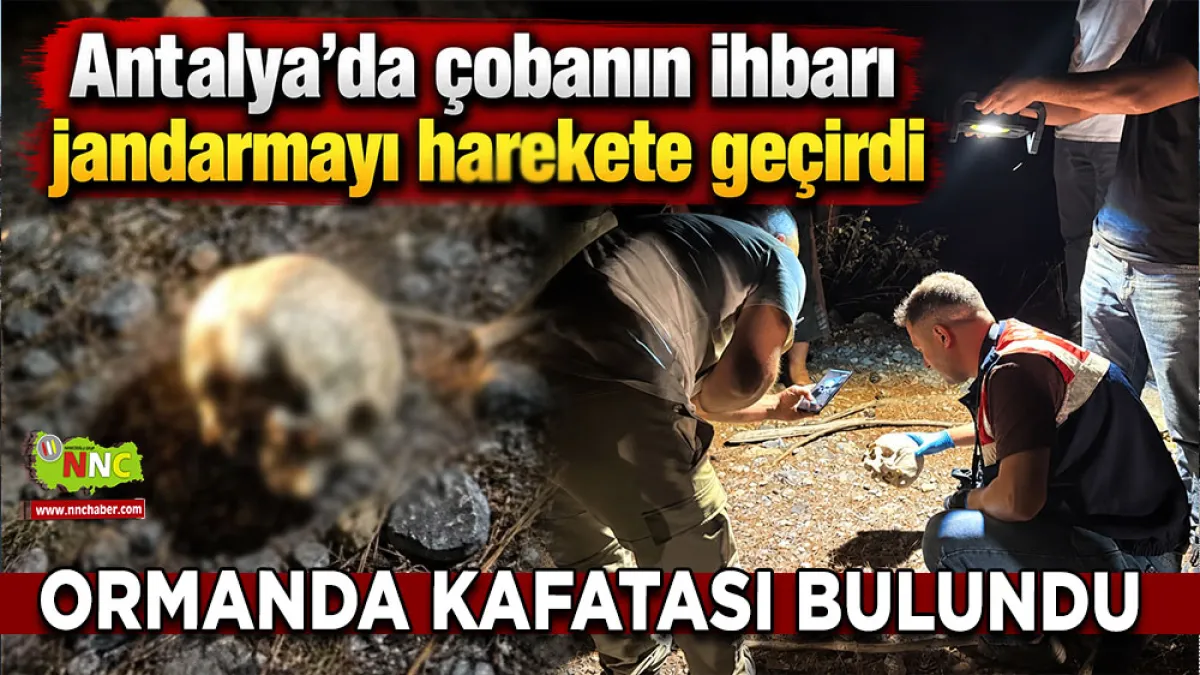 Antalya'da çobanın ihbarı jandarmayı harekete geçirdi Ormanda kafatası bulundu 