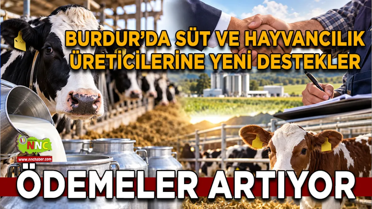 Burdur’da süt ve hayvancılık üreticilerine yeni destekler Ödemeler artıyor