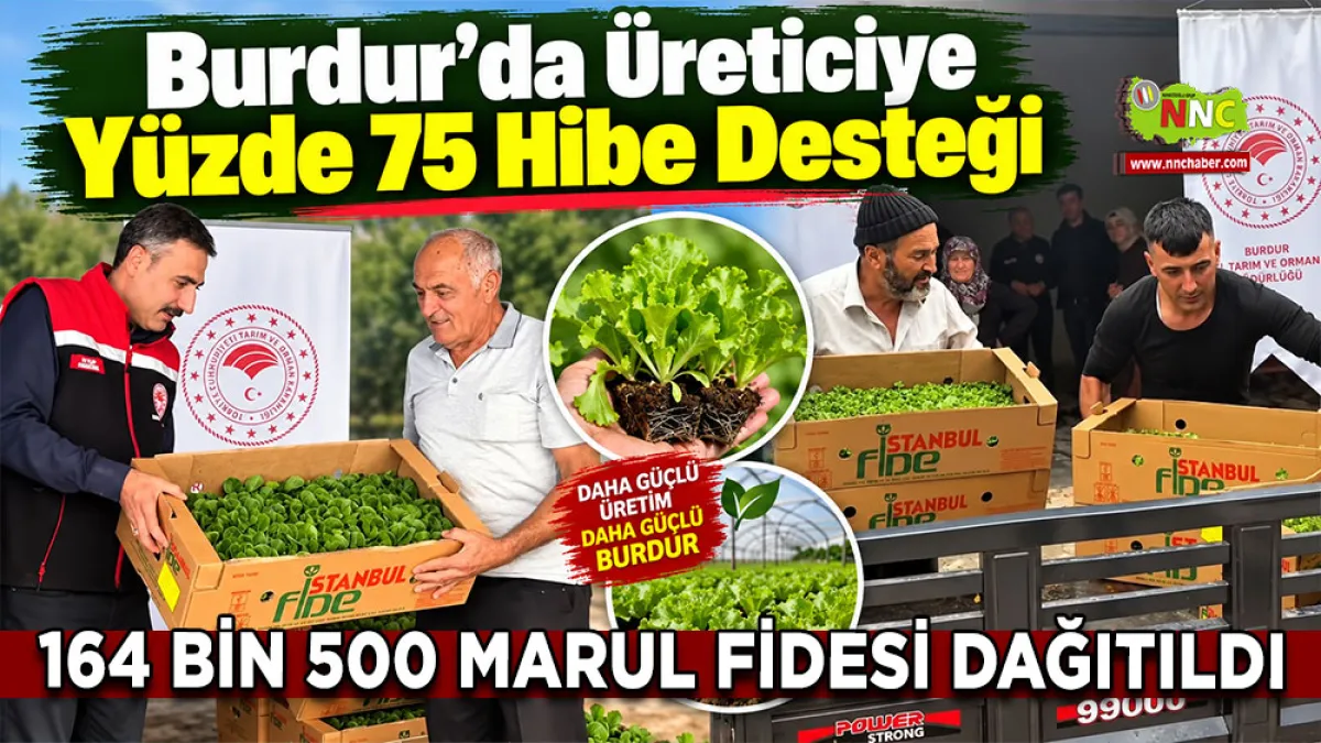 Burdur’da üreticiye yüzde 75 hibe desteği 164 Bin 500 marul fidesi dağıtıldı